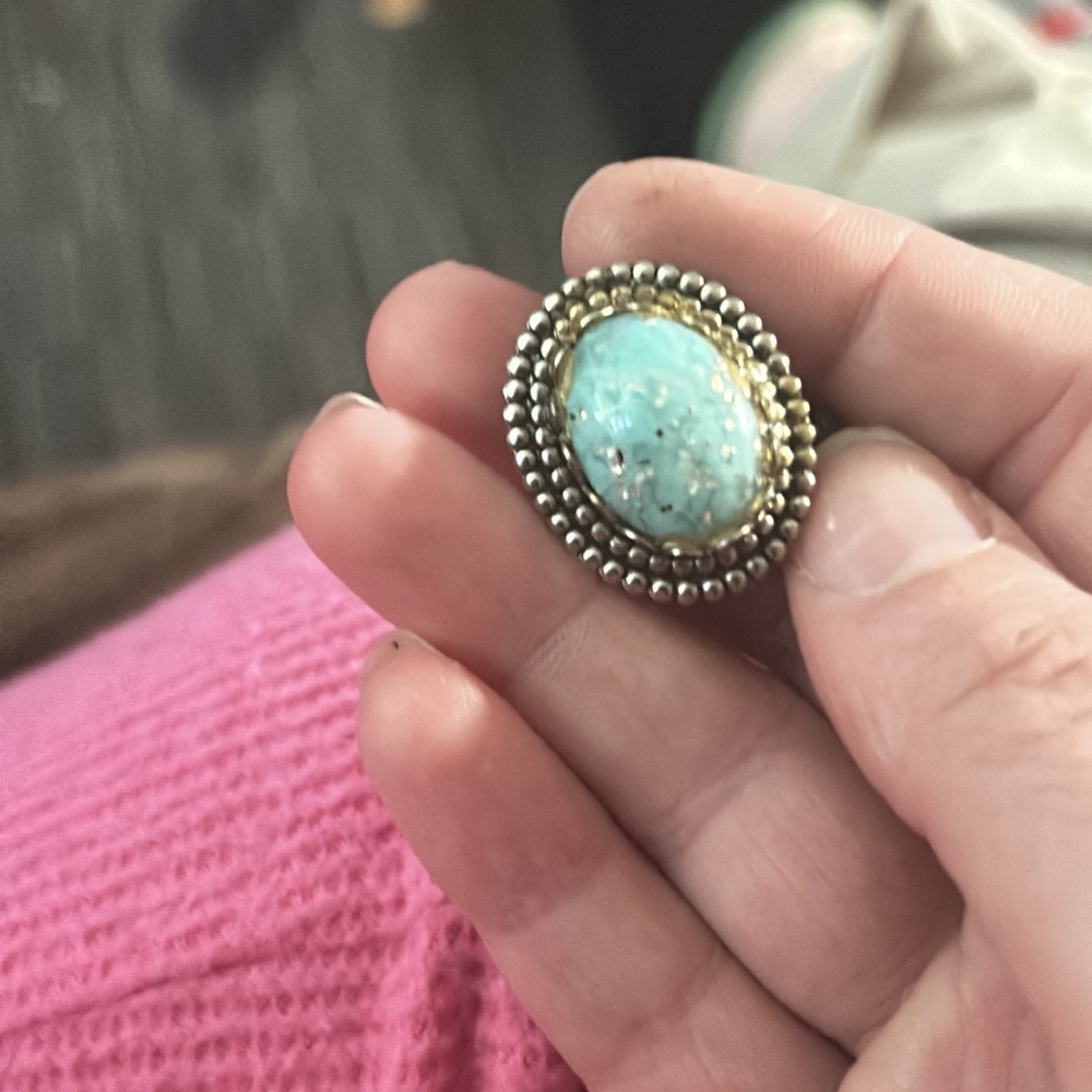 AAC -Golden Hills Turquoise Earring (1)